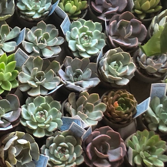 Meet your Posher, Jennifer - Picture 14 of 14